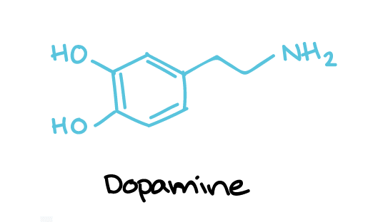 diagram of a dopamine molecule