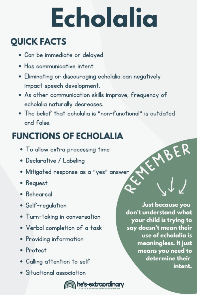 Infographic titled "Echolalia" with quick facts and functions. Quick facts include: can be immediate or delayed, has communicative intent, eliminating or discouraging echolalia can negatively impact speech development, frequency naturally decreases as other communication skills improve, and the belief that echolalia is non-functional is outdated and false. Functions of echolalia listed include: extra processing time, declarative/labeling, mitigated response as yes answer, request, rehearsal, self-regulation, turn-taking in conversation, verbal completion of task, providing information, protest, calling attention to self, and situational association. A green circular callout reads "REMEMBER: Just because you don't understand what your child is trying to say doesn't mean their use of echolalia is meaningless. It just means you need to determine their intent." Bottom shows "he's extraordinary" logo.