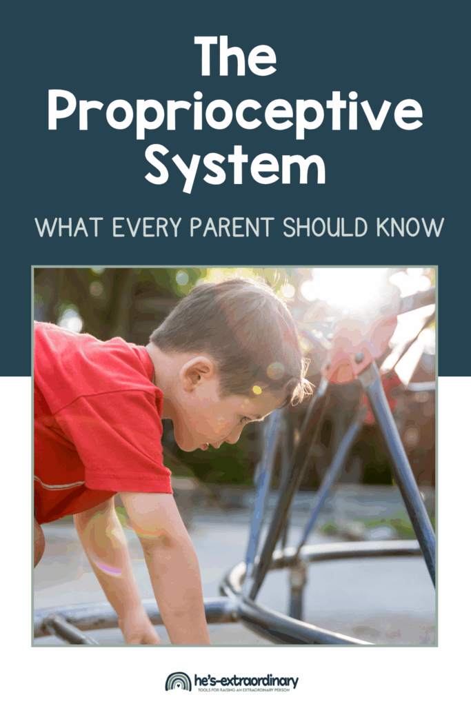 The proprioceptive system is your child's internal GPS - but most parents have never heard of it! This essential sensory system helps your child know where their body is in space and affects everything from handwriting to behavior. Learn how proprioception works, why it matters for ALL children (not just those with sensory differences), and discover practical strategies to support your child's unique needs. Includes easy-to-understand explanations, real-life examples, and activities you can do at home. Essential reading for parents, teachers, and anyone working with children. #proprioceptivesystem #sensoryprocessing #childdevelopment #parentingtips #occupationaltherapy #motorskills #autism #ADHD #sensoryplay #earlychildhood #specialneeds #neurodiversity