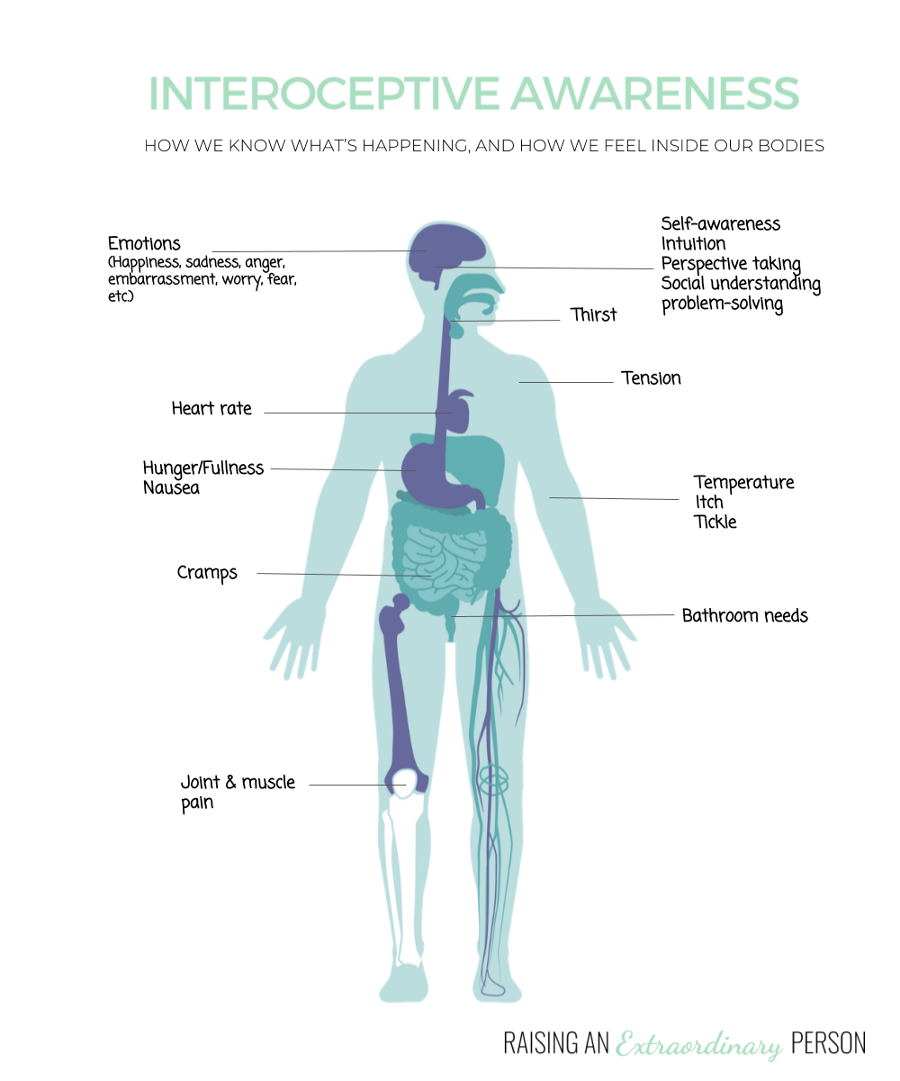 Interoception: What It Is, How It Works, & How To Improve Interoception