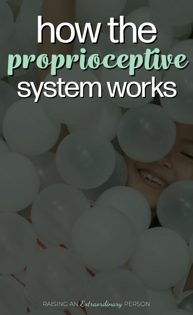 how the proprioceptive system works
