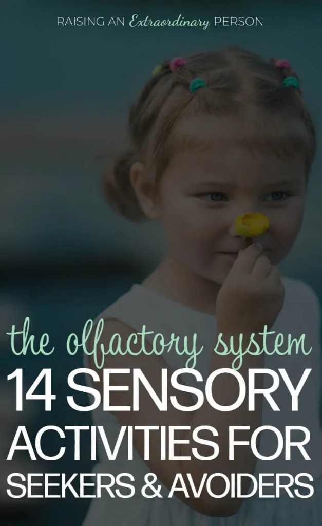 The Olfactory System  AKA The Sense of Smell - 14 Sensory Activities for Sensory Seekers and Sensory Avoiders // #SPD #SensoryDiet #SensoryActivities #SensoryPlay #PlayTherapy #ASD #Autism #ADHDKids #ActivitiesForKids