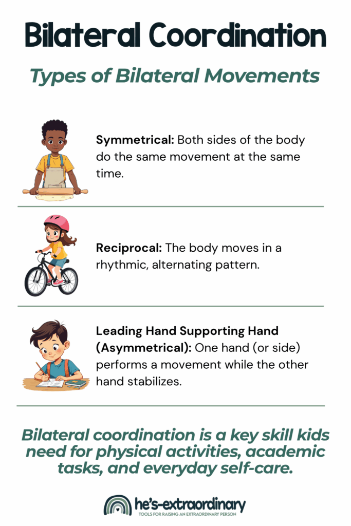 Infographic titled ‘Bilateral Coordination – Types of Bilateral Movements’ featuring cartoon illustrations of children demonstrating three types of movement: symmetrical (rolling dough with both hands), reciprocal (riding a bike), and leading hand/supporting hand or asymmetrical (writing while holding paper). Includes a caption stating that bilateral coordination is a key skill kids need for physical activities, academic tasks, and everyday self-care