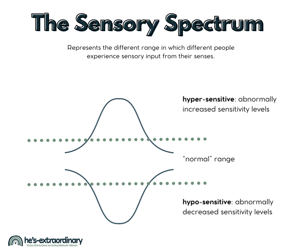 diagram representing the sensory spectrum - the different ranges in which different people experience sensory input from their senses.