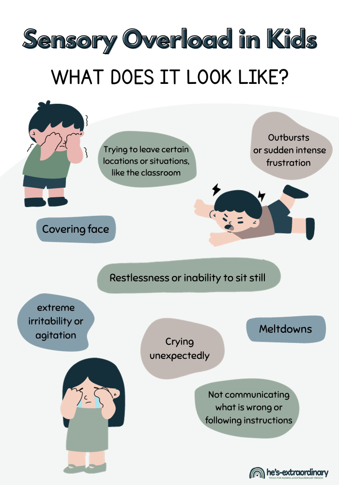 GRAPHIC ILLUSTRATION SHOWCASING WHAT SENSORY OVERLOAD LOOKS LIKE IN KIDS INCLUDING Restlessness or difficulty sitting still

Trying to leave certain locations or situations (for example, the classroom during group activities)

Covering their face or closing their eyes

Covering their ears

Crying unexpectedly

Outbursts or sudden intense frustration

Aggression or agitation

Not communicating what's wrong

Not following instructions

Meltdowns
