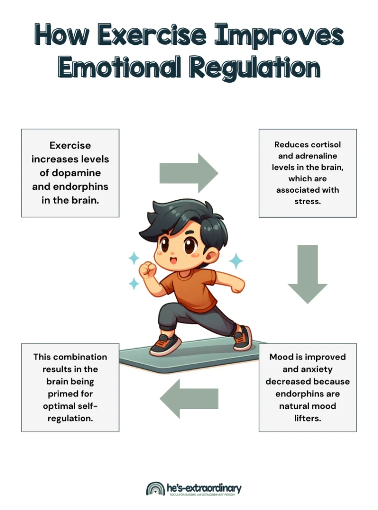 Infographic describing: How Exercises Improves Emotional Regulation . Exercise increases dopamine and endorphins in the brain. It also reduced cortisol and adrenaline, stress hormones. This improves mood and decreases anxiety, priming the brain for optimal emotional self-regulation. 