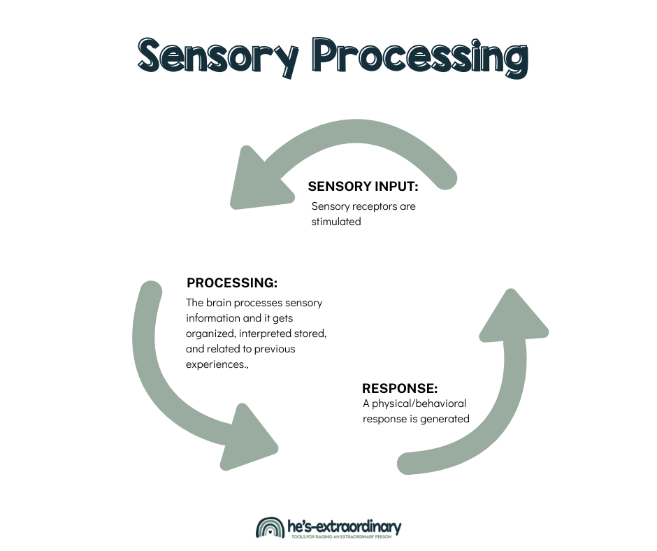 Sensory processing 