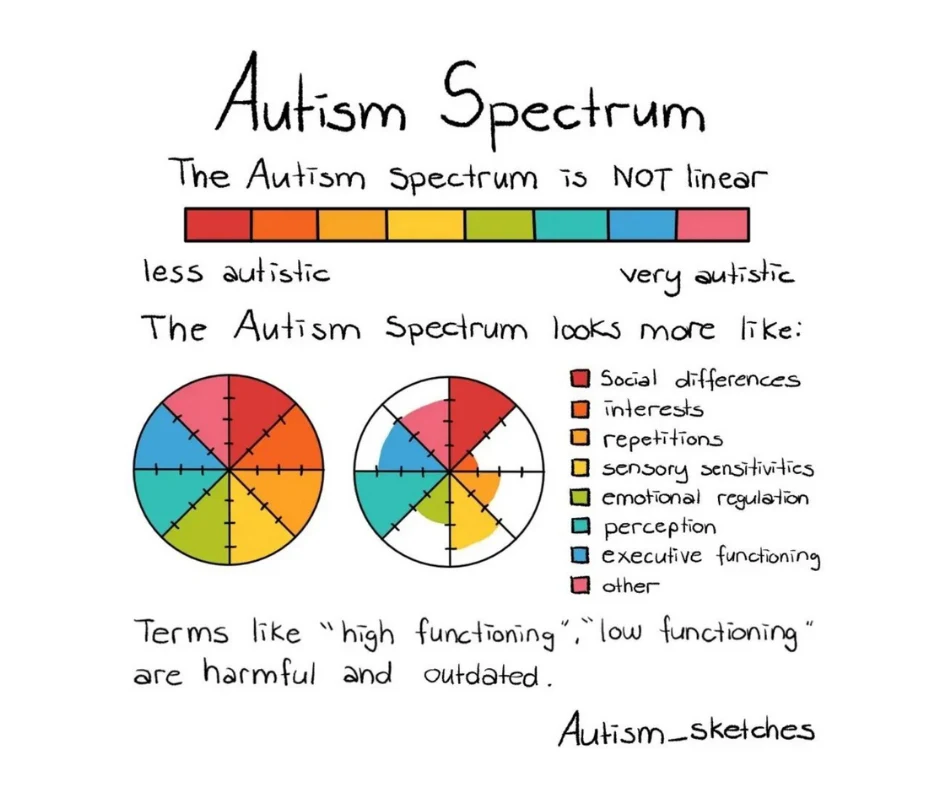 diagram showing the autism spectrum is not linear