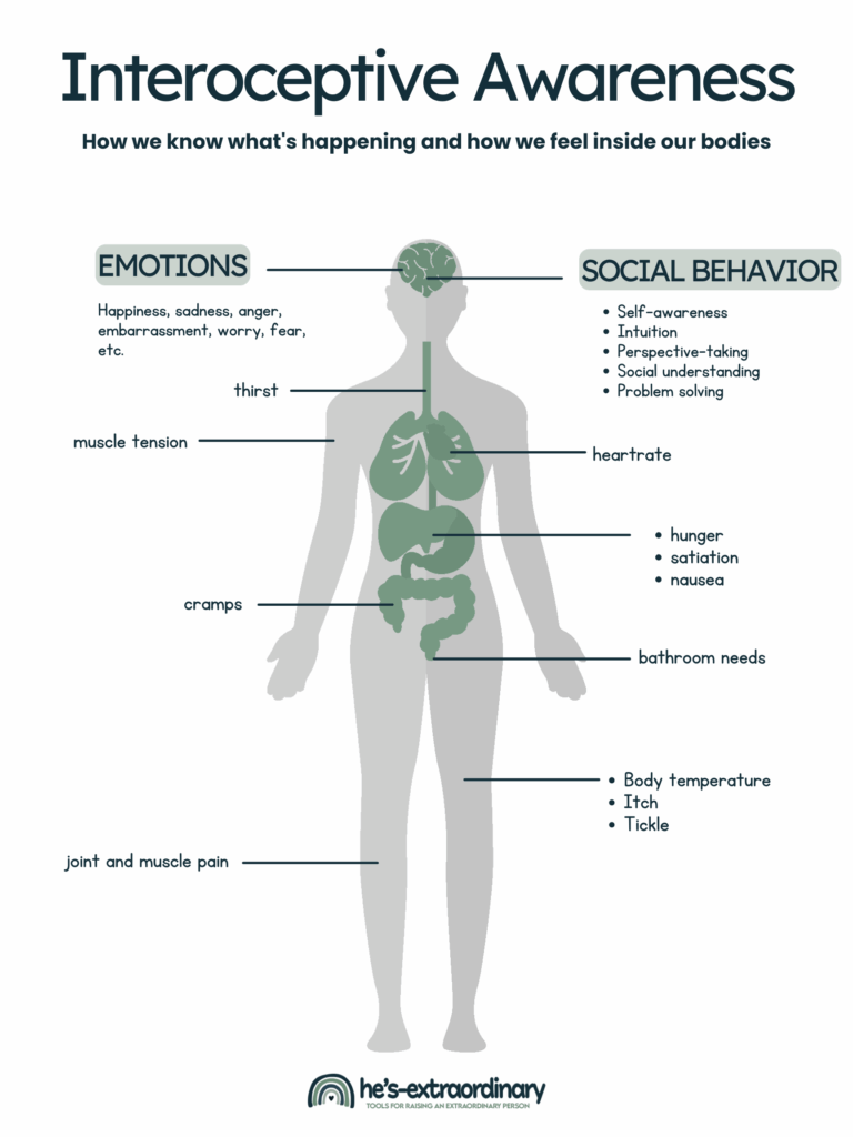 Infographic showing interoceptive awareness - how we know what's happening and how we feel inside our bodies. Gray silhouette of a human body with green organs (brain, lungs, heart, stomach, intestines) labeled with corresponding internal sensations. Left side labels: emotions (happiness, sadness, anger, embarrassment, worry, fear), thirst, muscle tension, cramps, and joint and muscle pain. Right side labels: social behavior (self-awareness, intuition, perspective-taking, social understanding, problem solving), heart rate, hunger/satiation/nausea, bathroom needs, and body temperature/itch/tickle. He's Extraordinary logo at bottom.